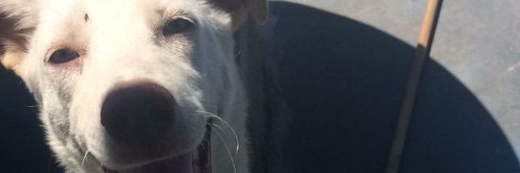 opsqueuel's profile banner image