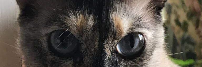 marimunga29's profile banner image