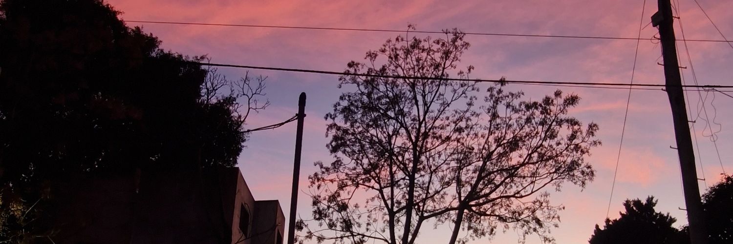 sof_insaurrald3's profile banner image