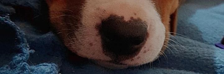 JennClavijoM's profile banner image