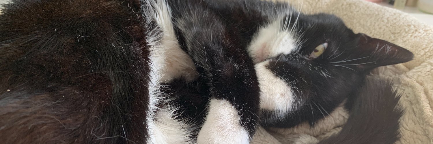 Vvegann0's profile banner image