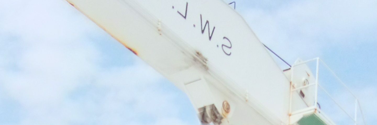 Dami banner