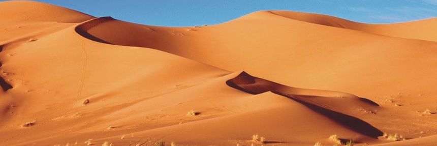 msbf12's profile banner image