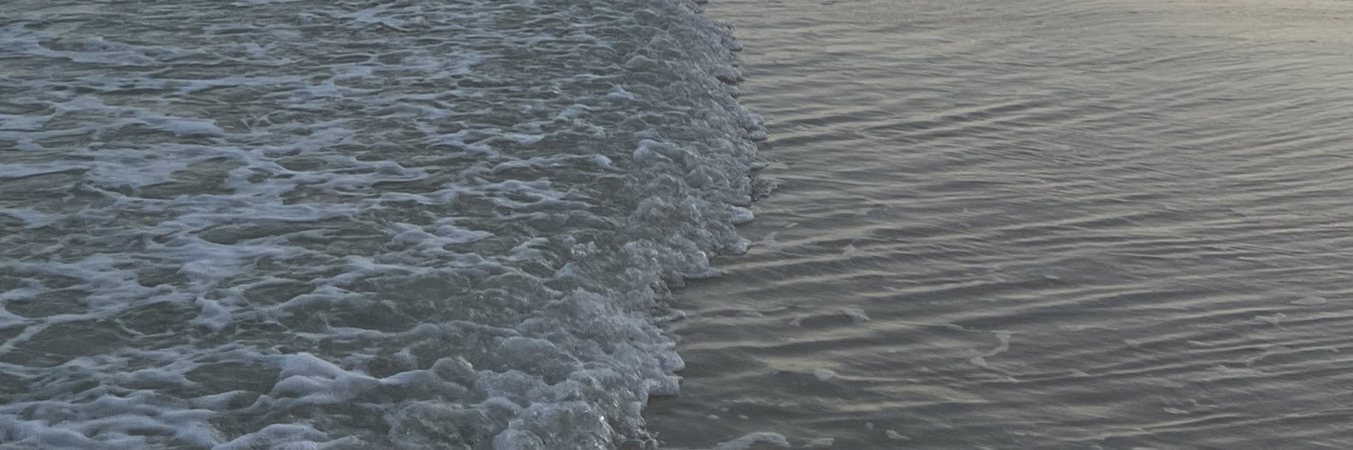 diazaileen_'s profile banner image