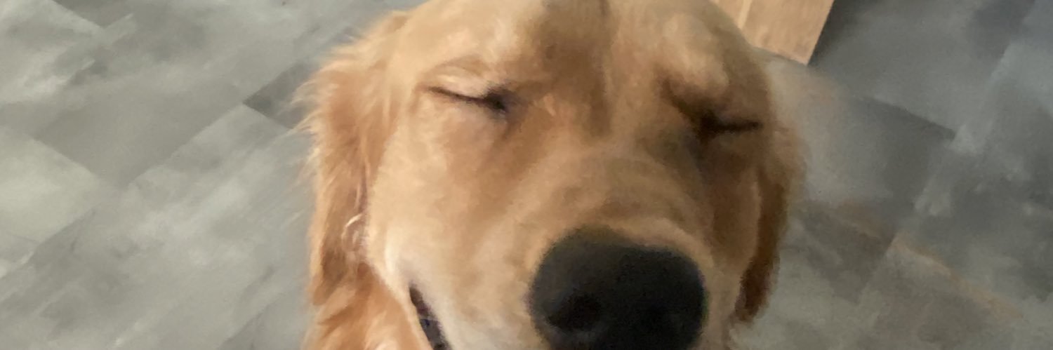 reeveelynn's profile banner image