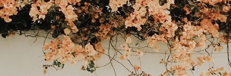 billeykay's profile banner image