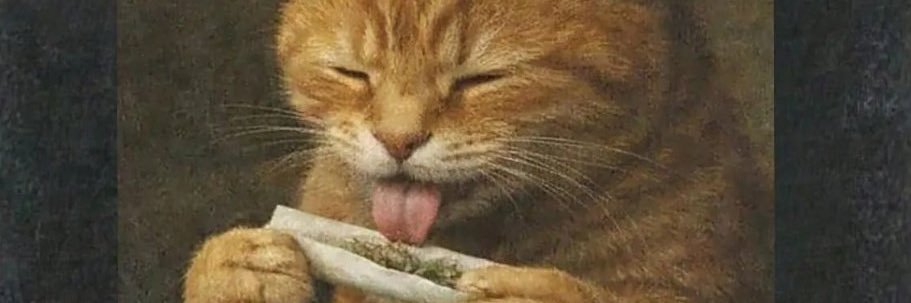 oimath_'s profile banner image