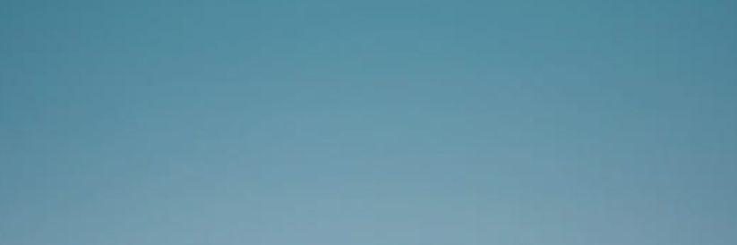 weej banner