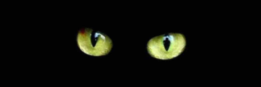ixi bereziartua 🍷 banner