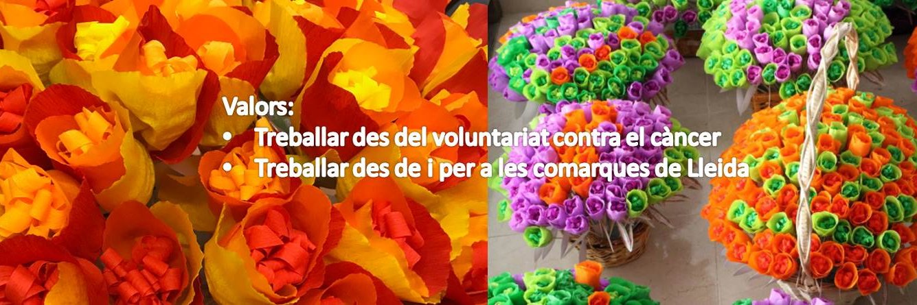 Oncolliga Lleida banner