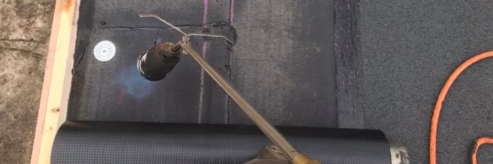 Dollerdak's profile banner image