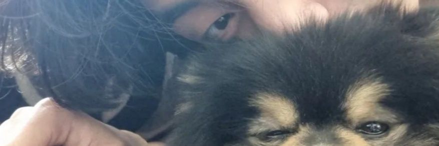 jaceeeethv's profile banner image