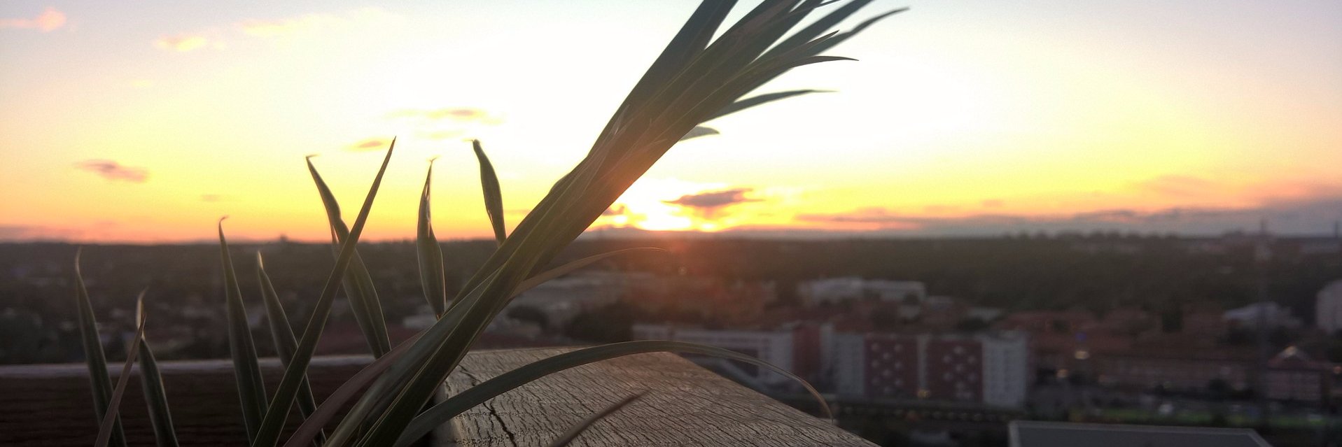 Felix_Jac's profile banner image