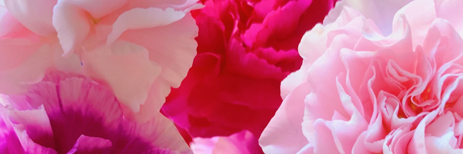 DowneyDelaney's profile banner image