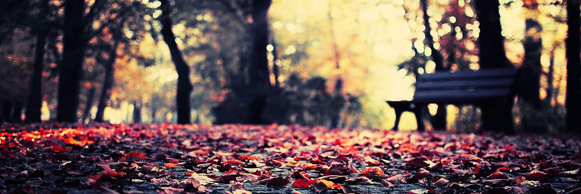 Candice banner