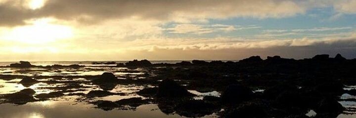 edenleighW's profile banner image