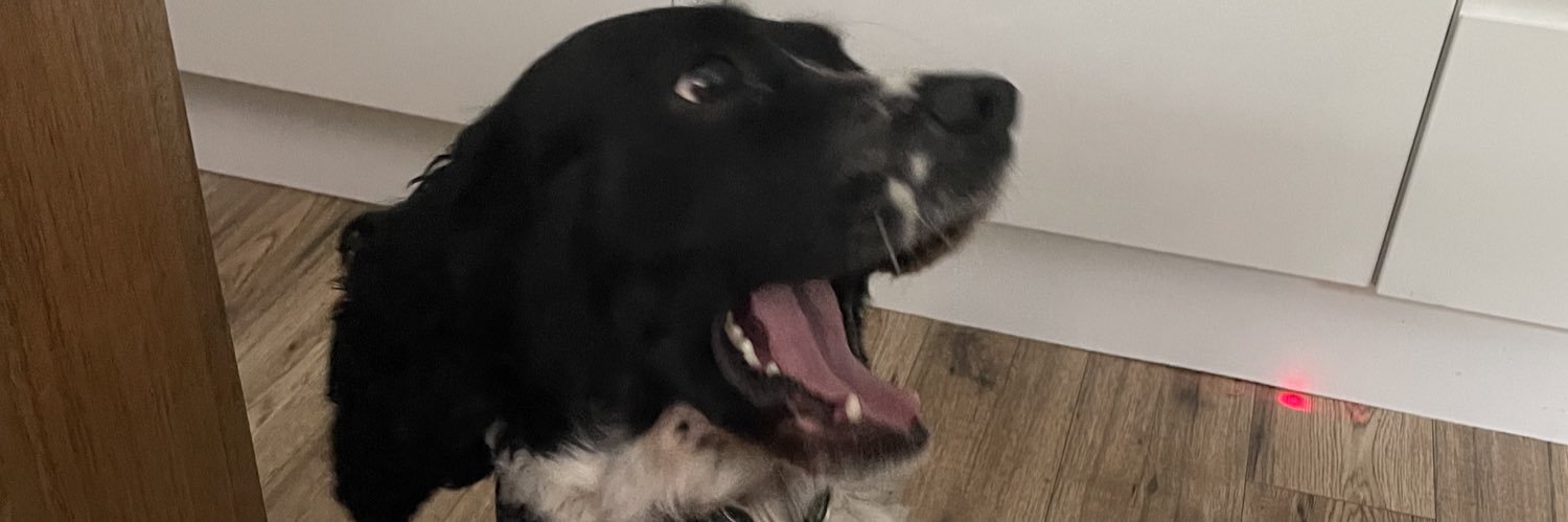 amarkey10's profile banner image