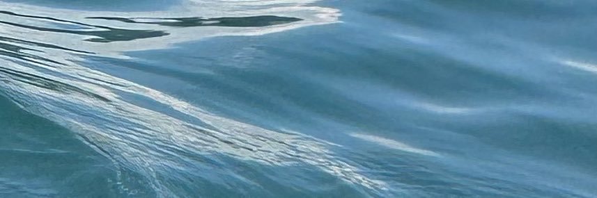 𝐆𝐔𝐈𝐋𝐈𝐀𝐍𝐎 ♱ banner