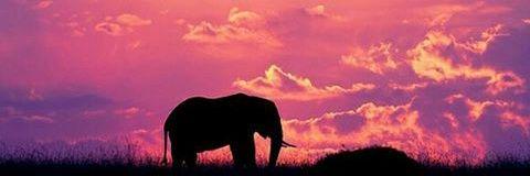 TtataP's profile banner image