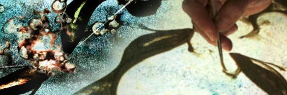 FluidFrames's profile banner image