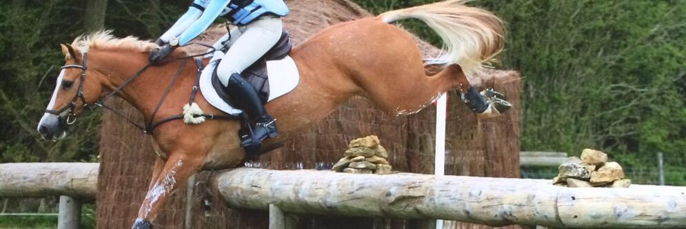 kt_eventing's profile banner image