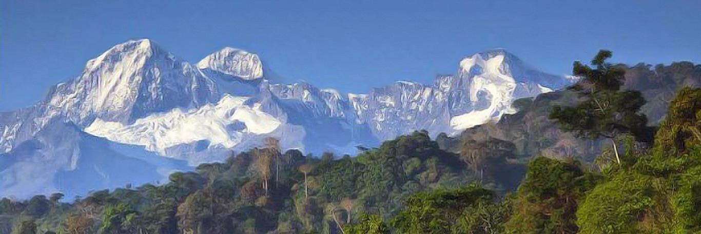 Fundación Pro-Sierra banner
