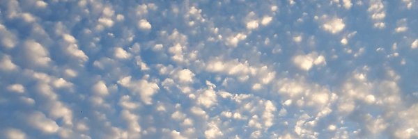 TediousTwit Profile Banner