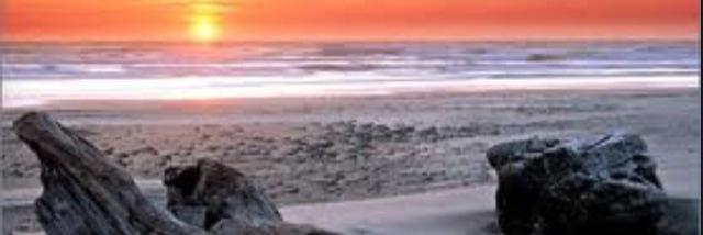 HollyAHowell's profile banner image