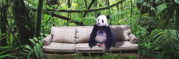 MarkBrothko Profile Banner