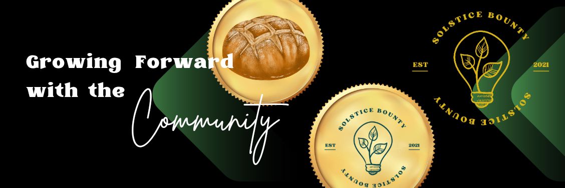 🪐Dtree🌲 banner