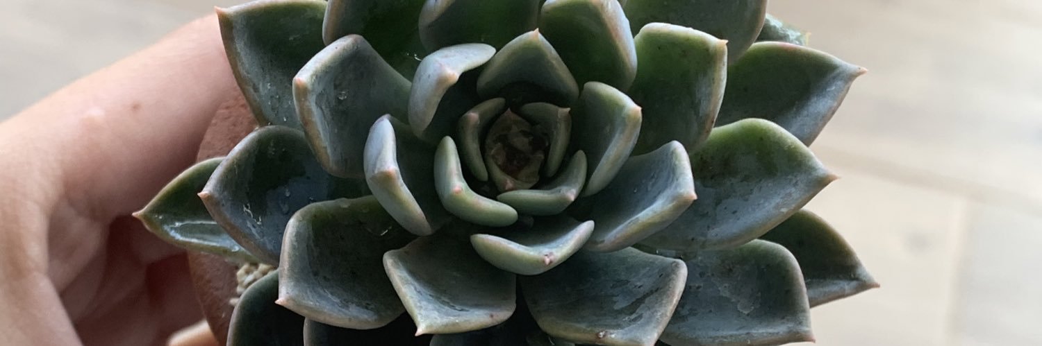 monsehb021's profile banner image