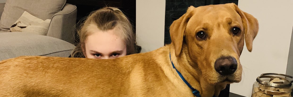 krustlar's profile banner image