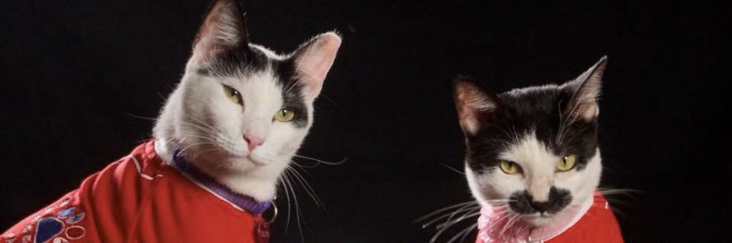 labigotess's profile banner image