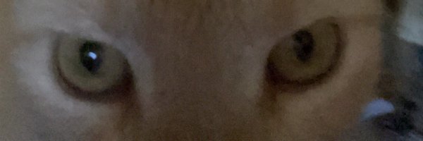 taytemss Profile Banner