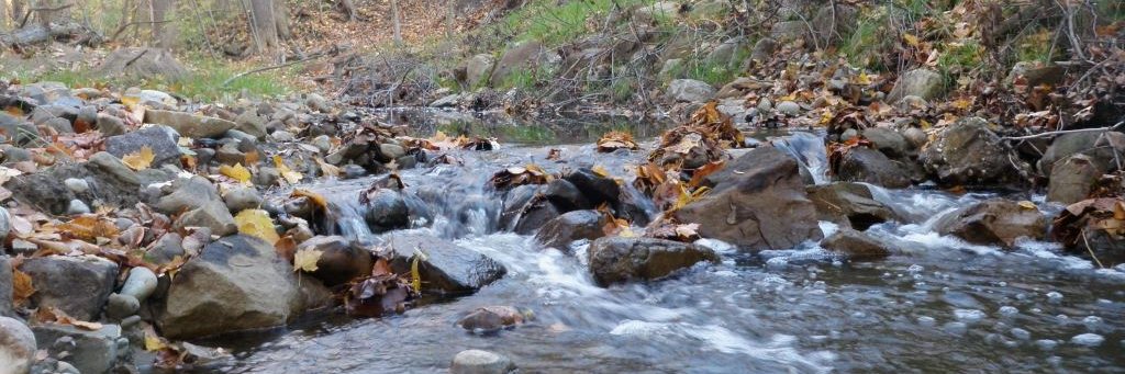 EnviroScience, Inc. banner