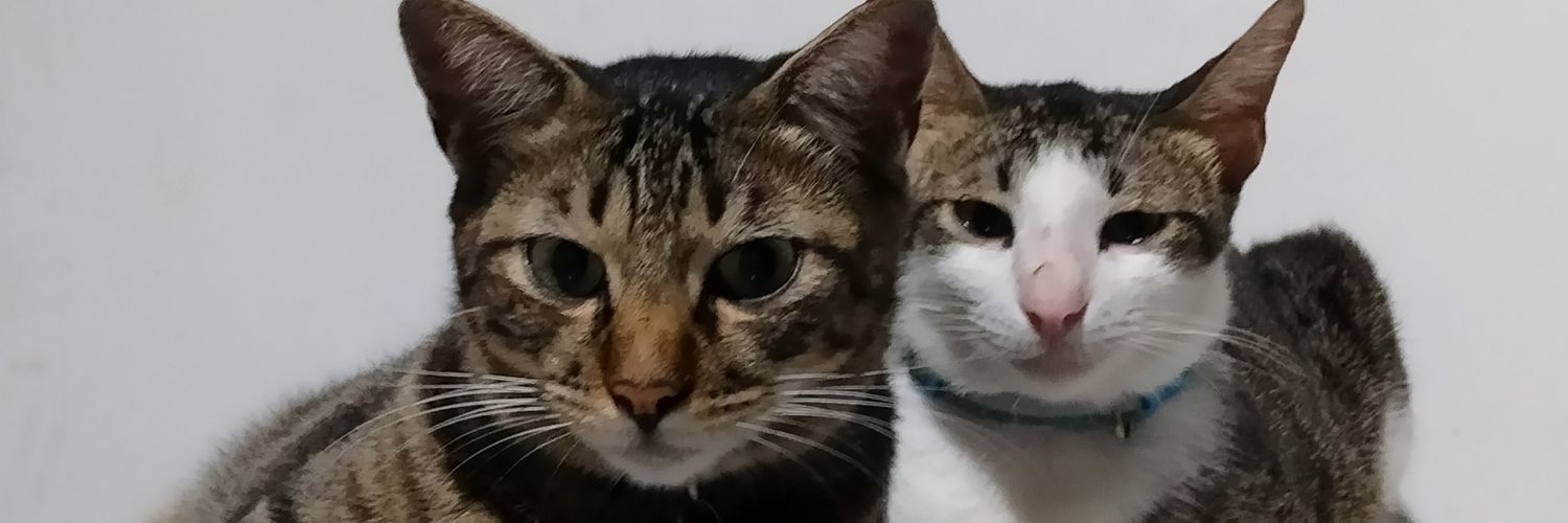 Itsmeloveeeely's profile banner image