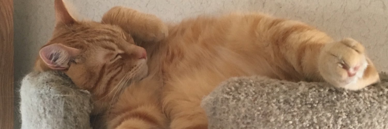 schmooze911's profile banner image