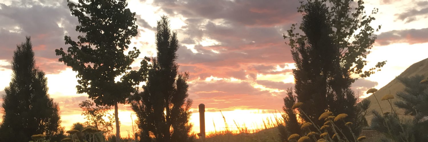 AngelenaTodaro's profile banner image