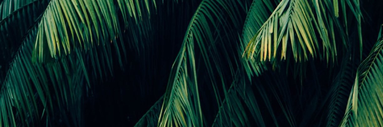 Neellle's profile banner image