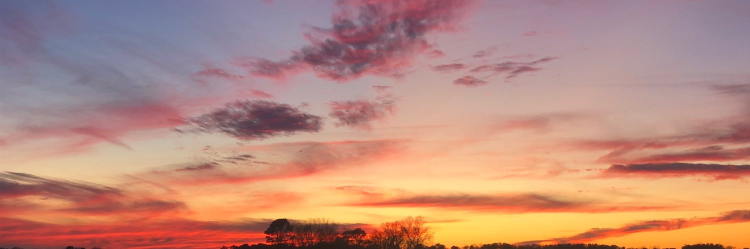 amberrichter_'s profile banner image