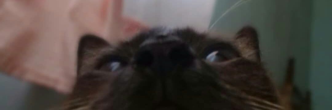 B21Mitch's profile banner image