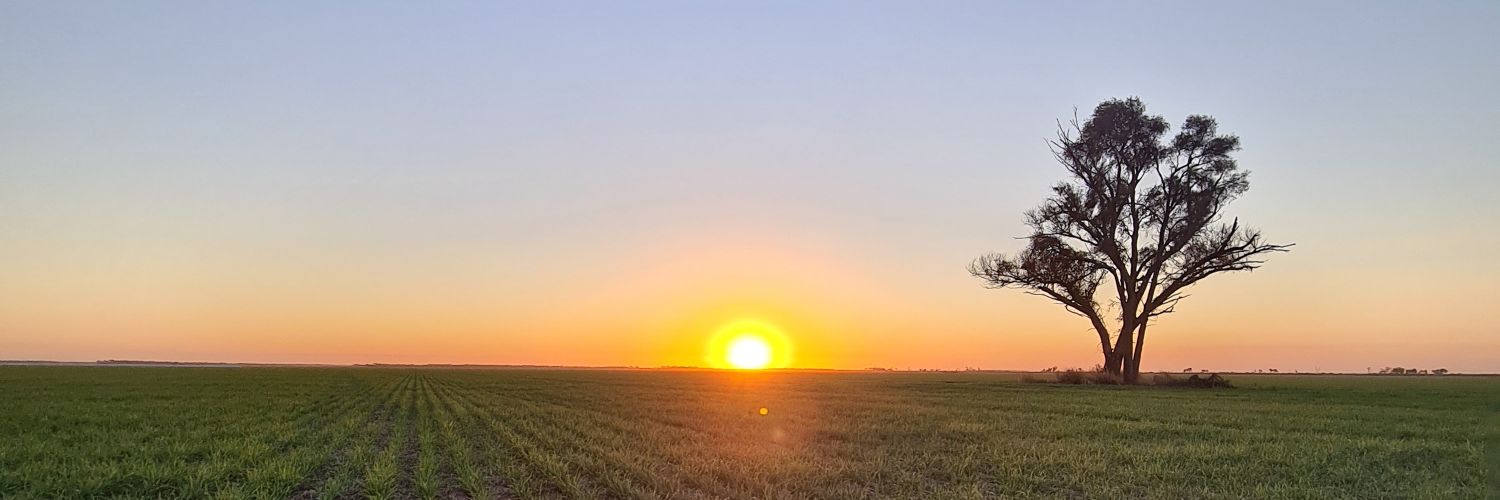 fabridelcan's profile banner image