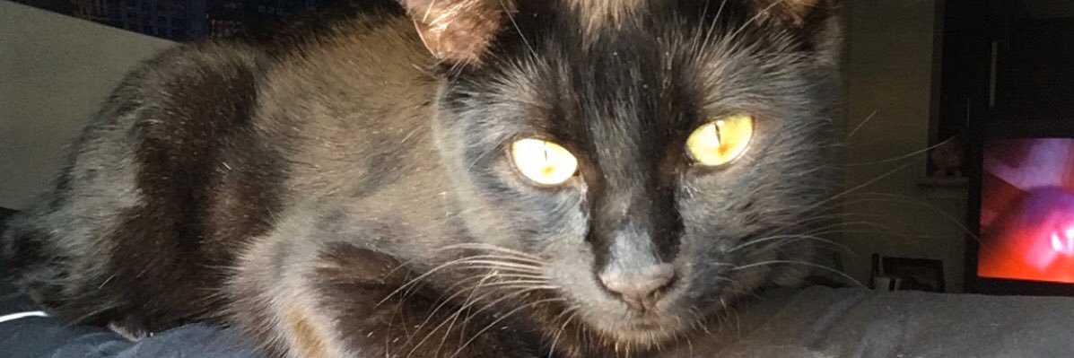 heyitsaborn's profile banner image