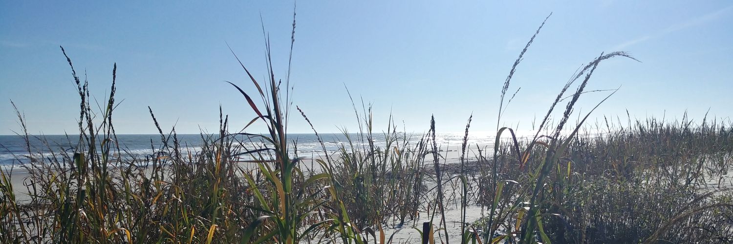 PellGirl33's profile banner image