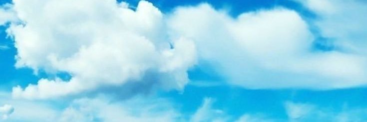 Nieves_white's profile banner image