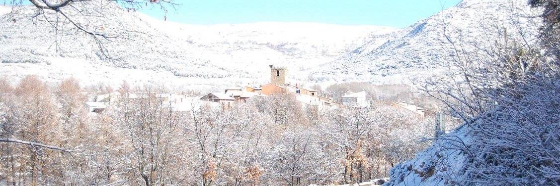 María Hernández-de-Benito banner