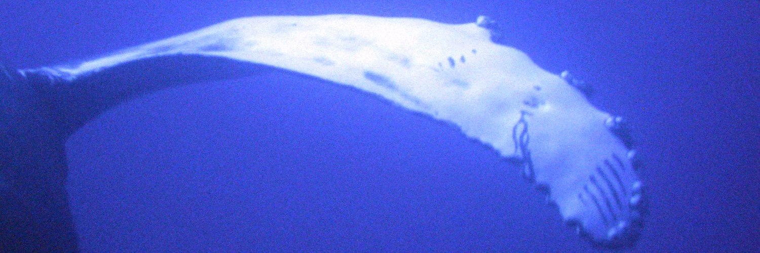 Jim_Fitzgerald_'s profile banner image
