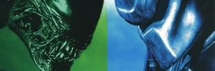 agentoooK's profile banner image