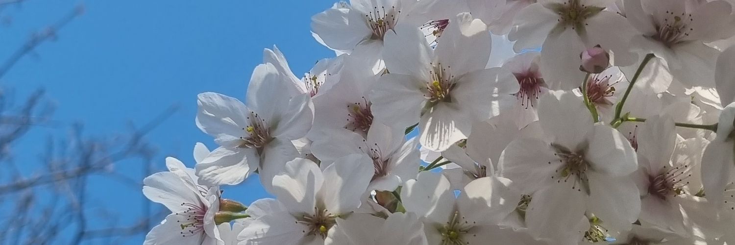 juagix's profile banner image
