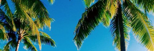 Inesgrier7's profile banner image